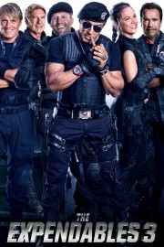 The Expendables 3-voll