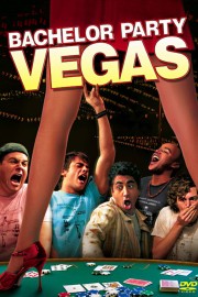 Bachelor Party Vegas-voll