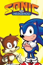 Sonic the Hedgehog-voll
