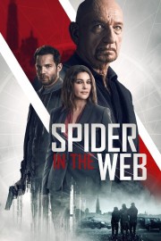 Spider in the Web-voll