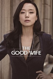 The Good Wife-voll