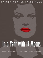 In a Year with 13 Moons-voll