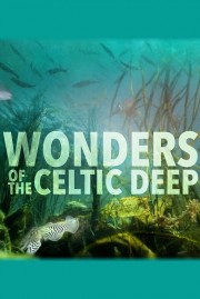Wonders of the Celtic Deep-voll