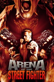 Arena of the Street Fighter-voll