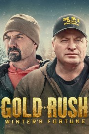 Gold Rush: Winter's Fortune-voll
