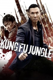 Kung Fu Jungle-voll