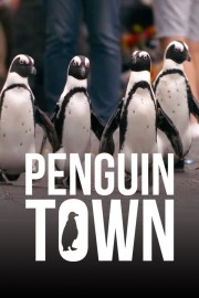 Penguin Town-voll