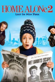 Home Alone 2: Lost in New York-voll