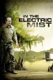 In the Electric Mist-voll